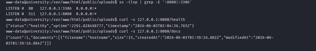 enumeração interna mostrando a porta 8080 e a API Document Portal
